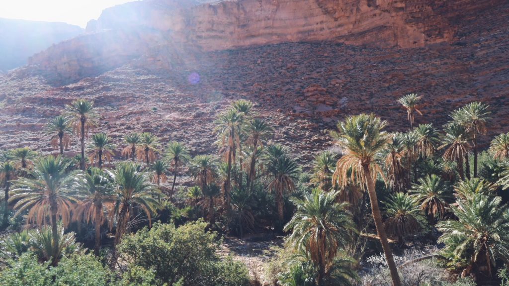 Voyage au Maroc gorges d'ait mansour et ses palmiers