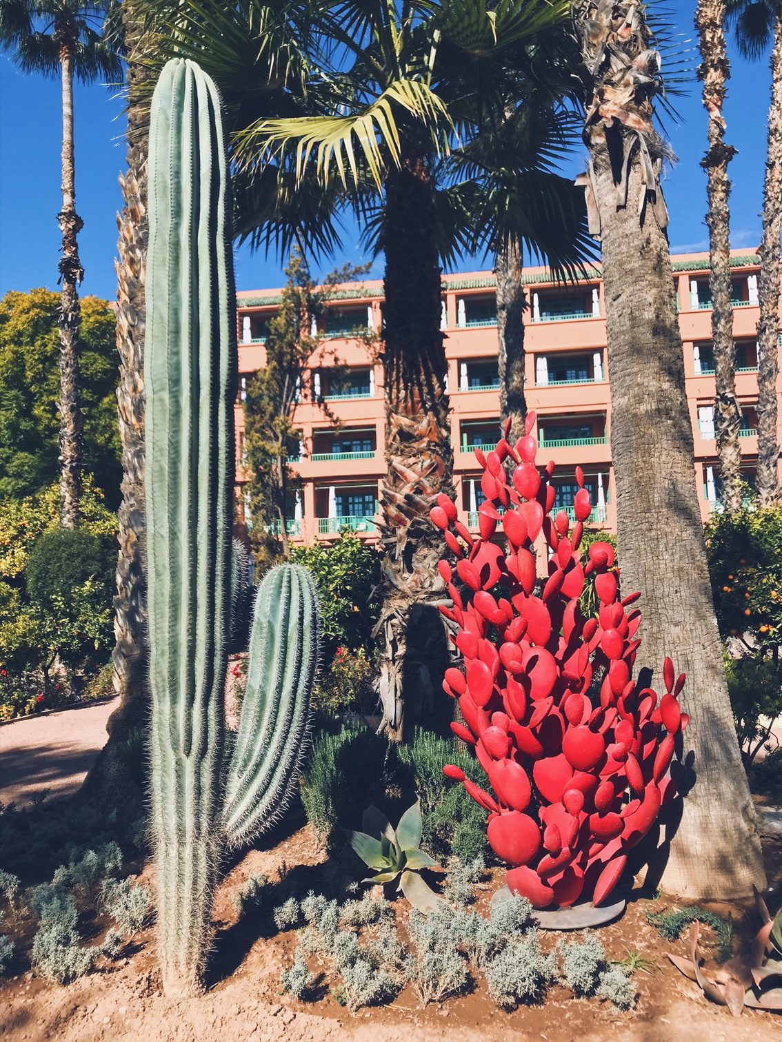 Voyage au Maroc Marrakech la Mamounia jardin avec cactus