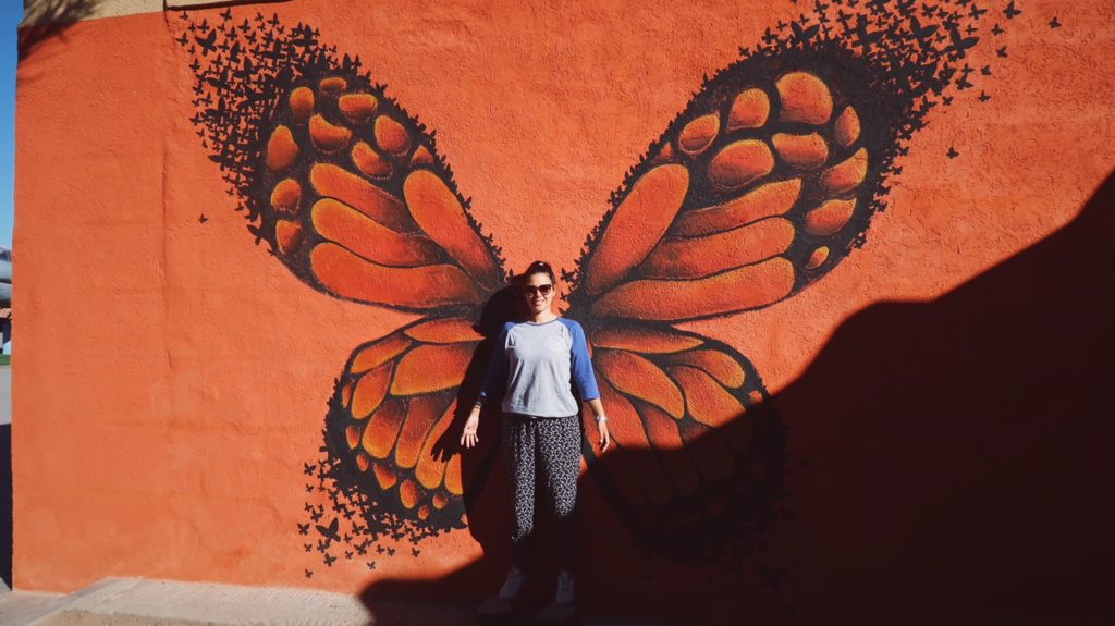 Voyage au Maroc Ouarzazate, Atlas Studios butterfly
