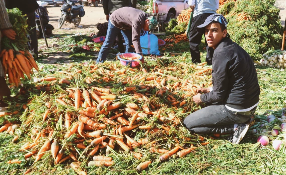 Voyage au Maroc Taroudant grand marché étalage des carottes