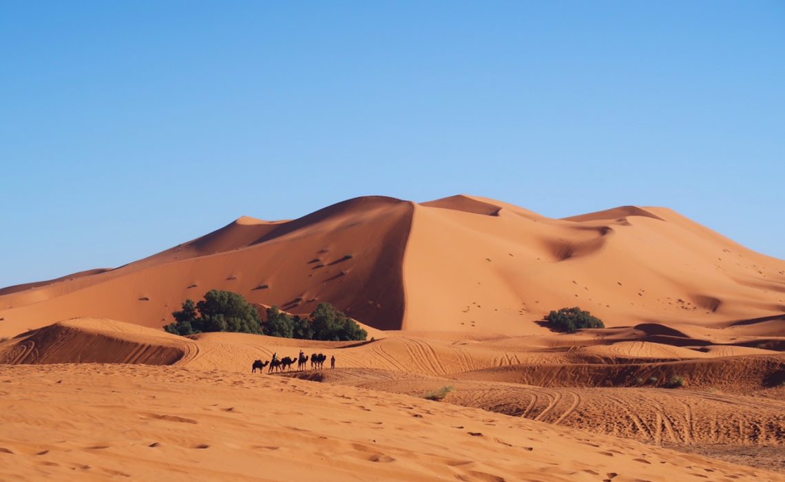 Voyage au Maroc dans le désert de Sahara les dunes Merzouga dromadaires