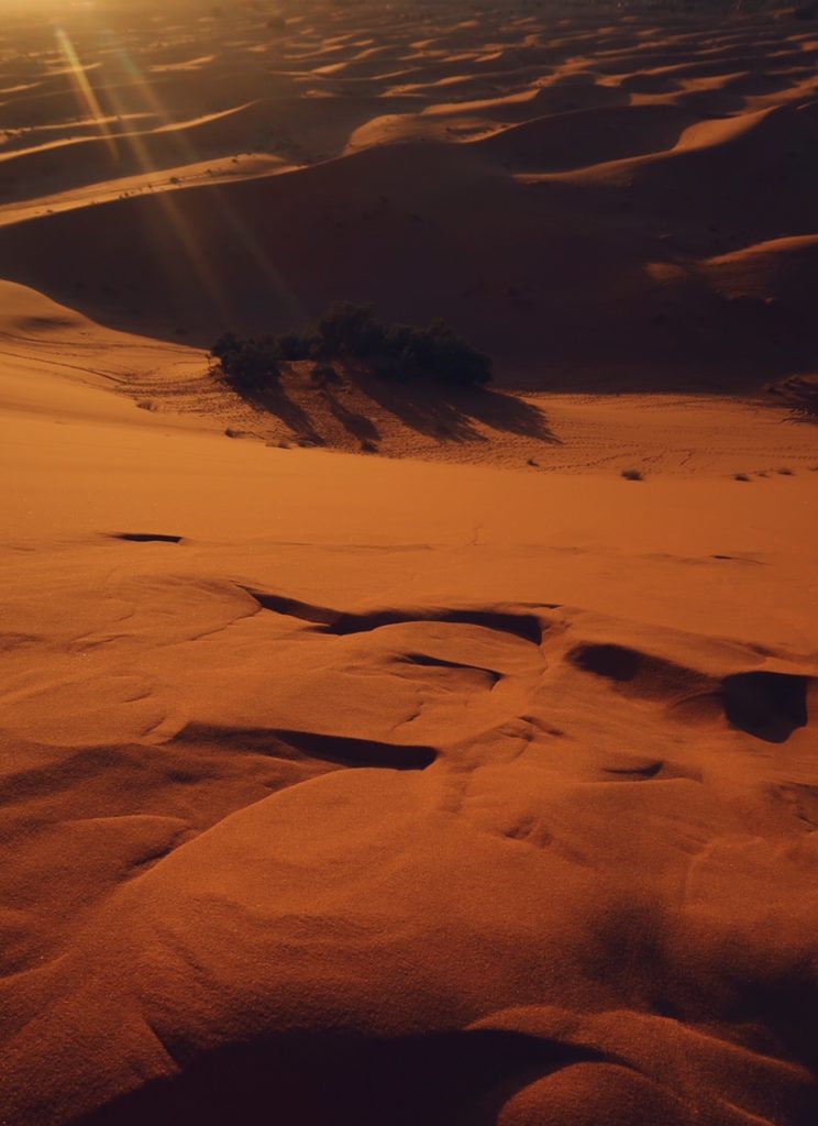 Voyage au Maroc désert de Sahara Merzouga les dunes oranges
