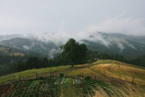 La ferme Pr Stotnkarju en Slovénie