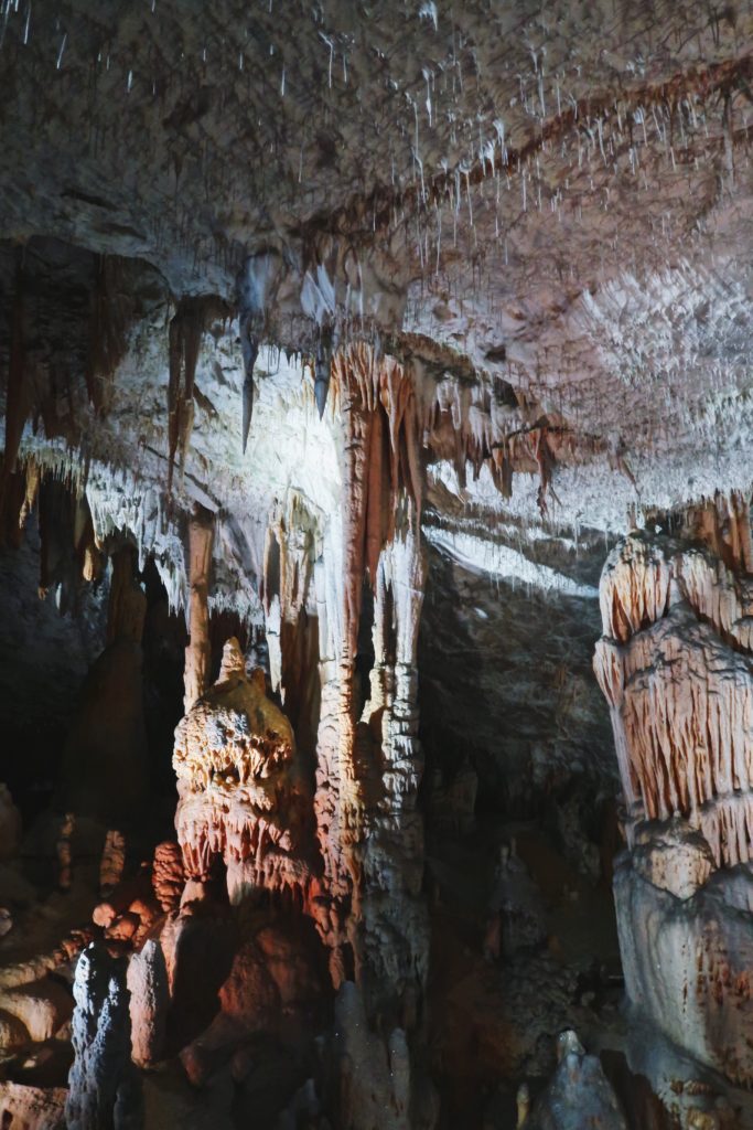 Les grottes de Skocjan en Slovénie